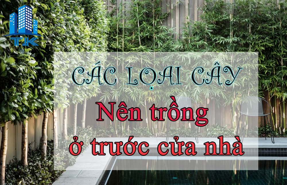 trong-cay-canh-truoc-cua-vuon-nha-nhat-dinh-khong-bo-qua-nhung-loai-sau